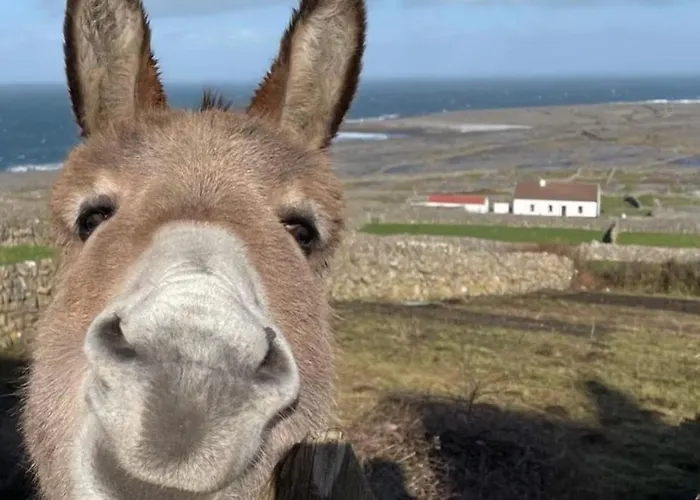 The Red Keep Fab Location - Two Bed - Two Bathrooms -townhouse 戈尔韦